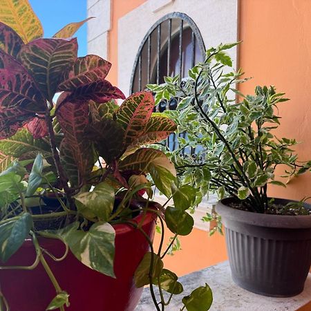 Hotel Casa Mallorca Cancún Eksteriør bilde
