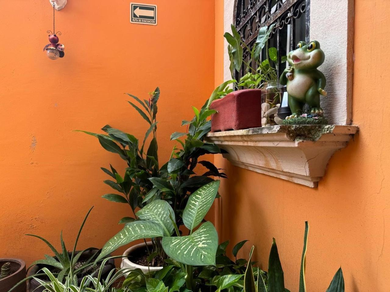 Hotel Casa Mallorca Cancún Eksteriør bilde