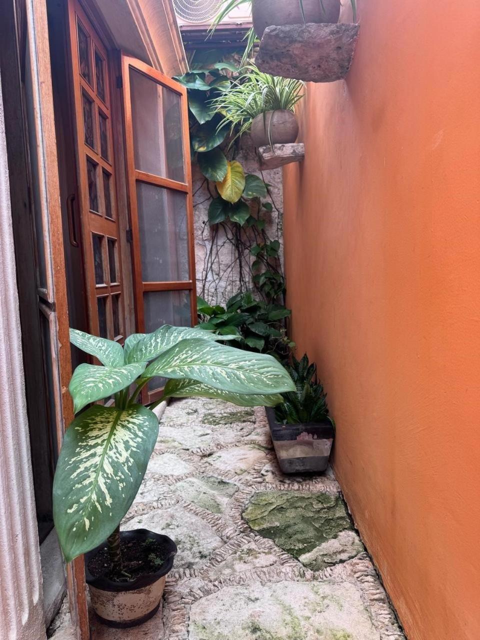 Hotel Casa Mallorca Cancún Eksteriør bilde