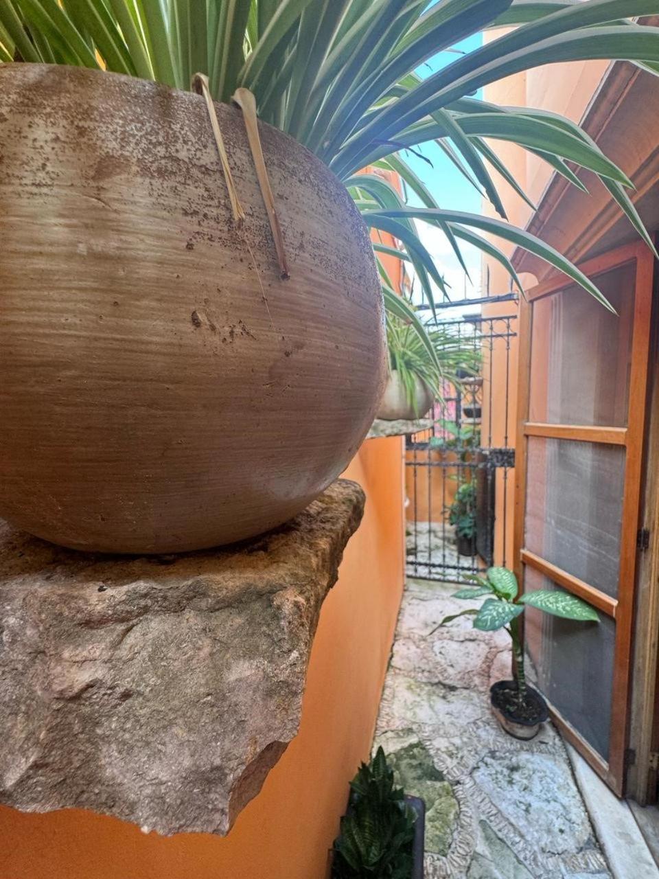 Hotel Casa Mallorca Cancún Eksteriør bilde