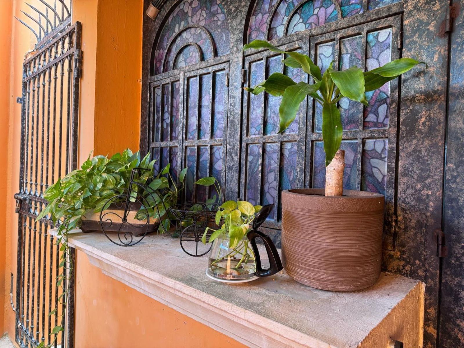 Hotel Casa Mallorca Cancún Eksteriør bilde